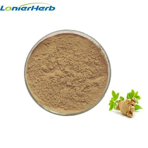 Notoginseng extract powder