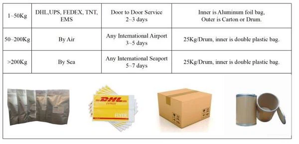 Notoginseng Extract Powder