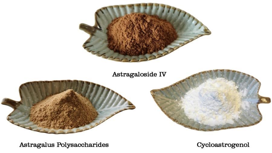 product-900-506 Astragalus Root Extract, Radix Astragali Extract