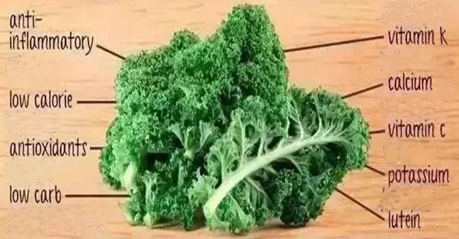 Kale Powder Nutrient Content Kale Powder Nutrient Content
