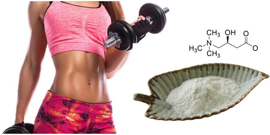 L-Carnitine 99%, L-Carnitine Powder L-Carnitine 99%, L-Carnitine Powder