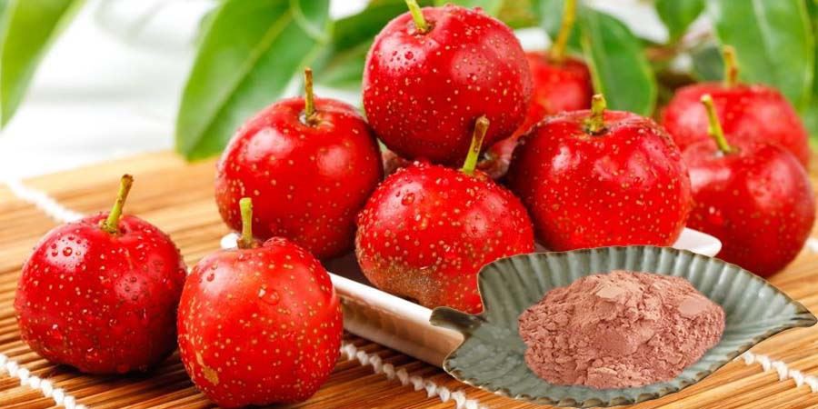Hawthorn Fruit Powder Hawthorn Fruit Powder