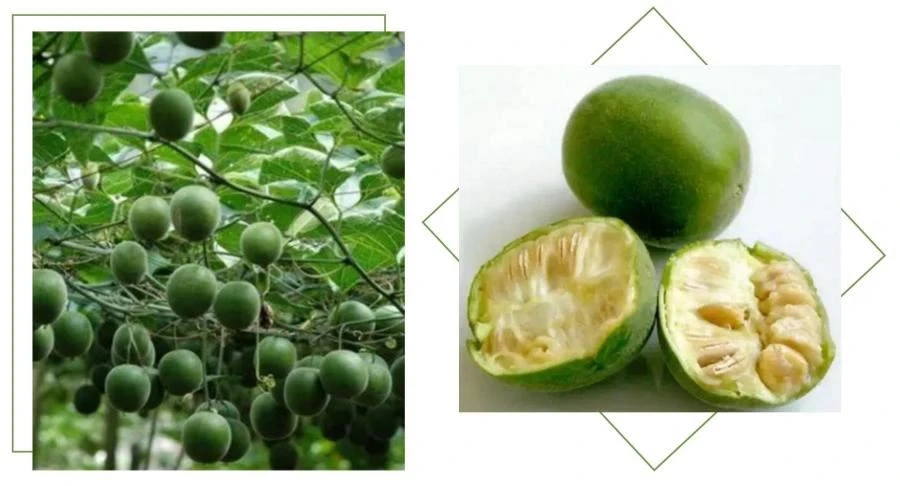Luo Han Guo Extract