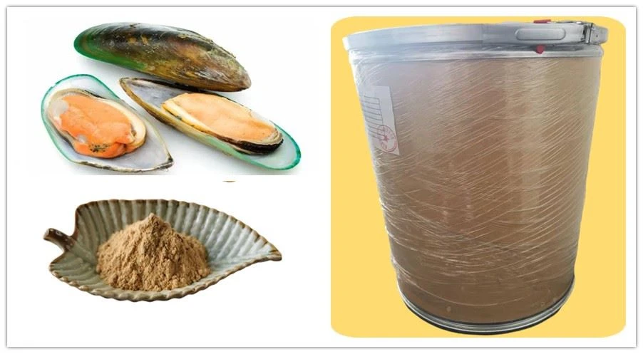 Green Lipped Mussel Extract Supplier