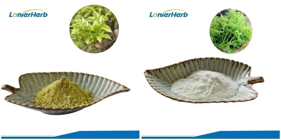 Vine Tea Extract Vine Tea Extract