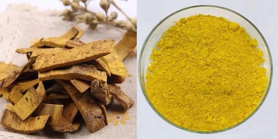 Factory Supply Berberine HCL