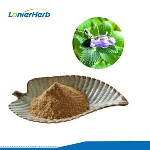 Kaķumētras ekstrakta pulveris