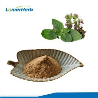 Oregano ekstrakta pulveris