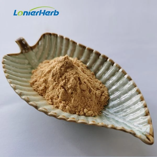 Green Lipped Mussel Extract Powder