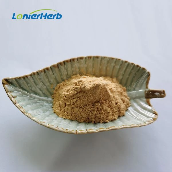 Green Lipped Mussel Extract Powder