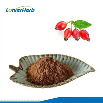 Mežrozīšu ekstrakts C vitamīns