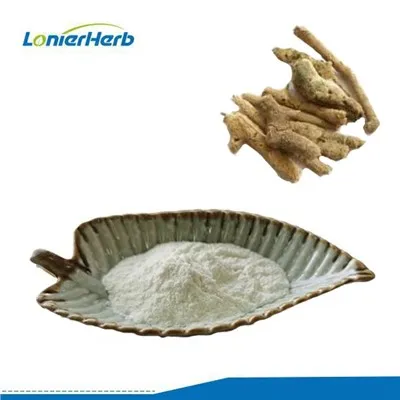 Sponge Spongilla pulveris