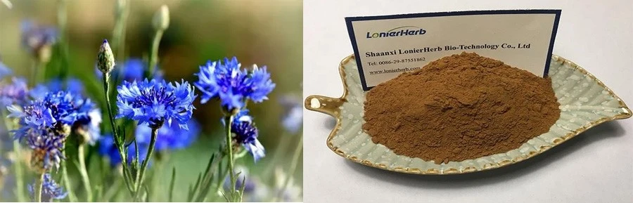 Centaury Extract price Centaury Extract price